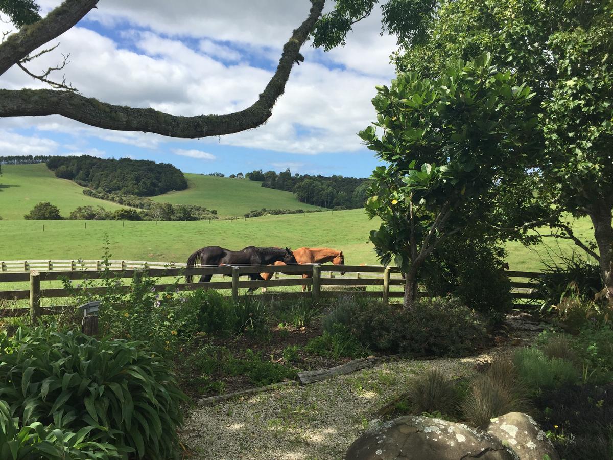 Quail Lodge NZ Snells Beach Ngoại thất bức ảnh